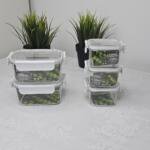 Clear Fresh Acrylic Set